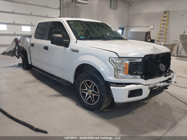 Продаж на аукціоні авто 2019 Ford F-150, vin: 1FTEW1EP2KFA25000, номер лоту: 12575675