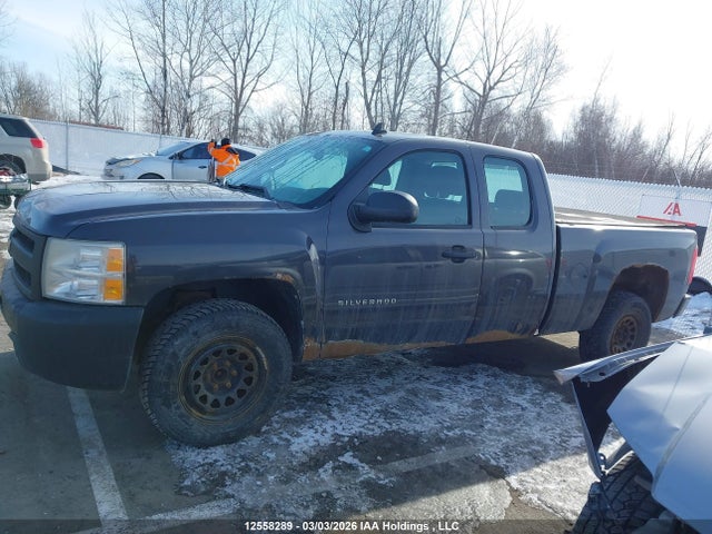 2010 Chevrolet Silverado 1500 Wt მანქანა იყიდება აუქციონზე, vin: 1GCSCPEA1AZ248684, აუქციონის ნომერი: 12558289
