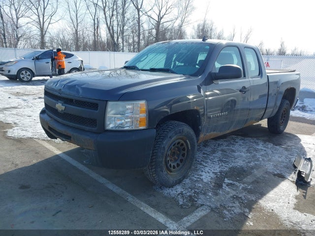 2010 Chevrolet Silverado 1500 Wt მანქანა იყიდება აუქციონზე, vin: 1GCSCPEA1AZ248684, აუქციონის ნომერი: 12558289