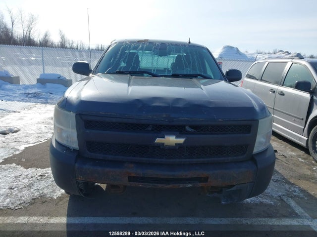 2010 Chevrolet Silverado 1500 Wt მანქანა იყიდება აუქციონზე, vin: 1GCSCPEA1AZ248684, აუქციონის ნომერი: 12558289