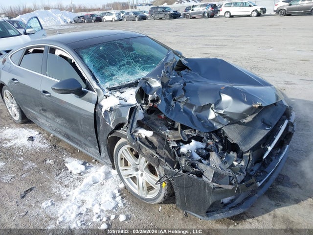 Aukcja sprzedaży 2019 Audi A7 55 Technik, vin: WAUV2AF25KN017717, numer aukcji: 12575933
