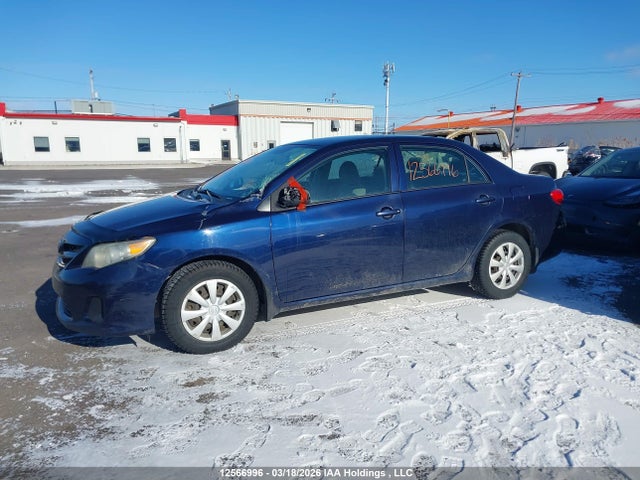12566996 :رقم المزاد ، 2T1BU4EE3BC590891 vin ، 2011 Toyota Corolla Ce مزاد بيع