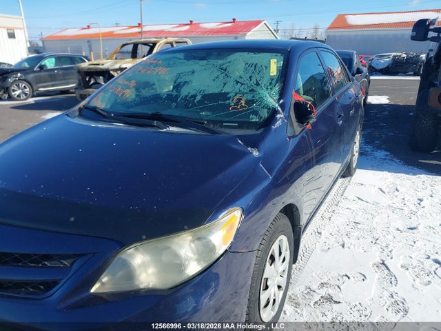 12566996 :رقم المزاد ، 2T1BU4EE3BC590891 vin ، 2011 Toyota Corolla Ce مزاد بيع