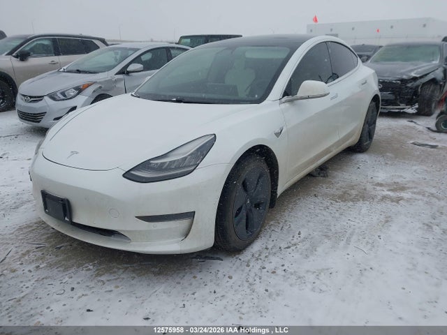 2020 Tesla Model 3 მანქანა იყიდება აუქციონზე, vin: 5YJ3E1EA8LF715538, აუქციონის ნომერი: 12575958