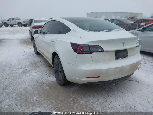 2020 Tesla Model 3 მანქანა იყიდება აუქციონზე, vin: 5YJ3E1EA8LF715538, აუქციონის ნომერი: 12575958
