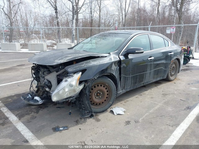 12575973 :رقم المزاد ، 1N4AA5APXAC837029 vin ، 2010 Nissan Maxima 3.5 Sv مزاد بيع