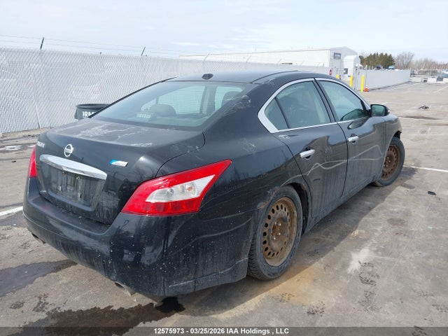 12575973 :رقم المزاد ، 1N4AA5APXAC837029 vin ، 2010 Nissan Maxima 3.5 Sv مزاد بيع