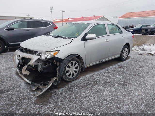 12575995 :رقم المزاد ، 2T1BU4EE7AC321582 vin ، 2010 Toyota Corolla مزاد بيع