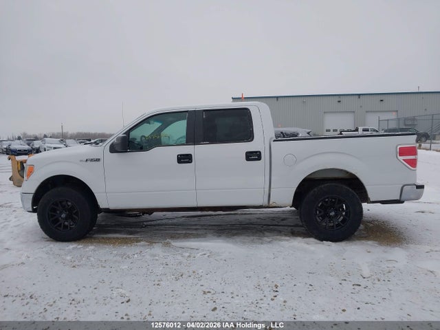 Aukcja sprzedaży 2010 Ford F-150, vin: 1FTFW1EV3AFA59156, numer aukcji: 12576012