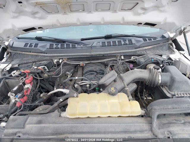 2019 Ford F150 Super Cab მანქანა იყიდება აუქციონზე, vin: 1FTFX1E53KKC72257, აუქციონის ნომერი: 12576022