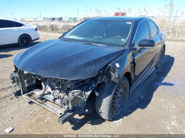 4T1S11BK5MU032642 Toyota CAMRY SE