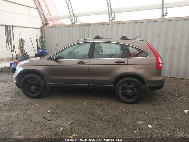Aukcja sprzedaży 2009 Honda Cr-v Lx, vin: 5J6RE48329L811299, numer aukcji: 12576131