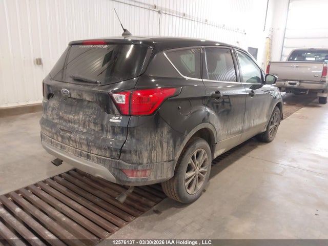 Продаж на аукціоні авто 2019 Ford Escape Se, vin: 1FMCU9GD3KUC13305, номер лоту: 12576137