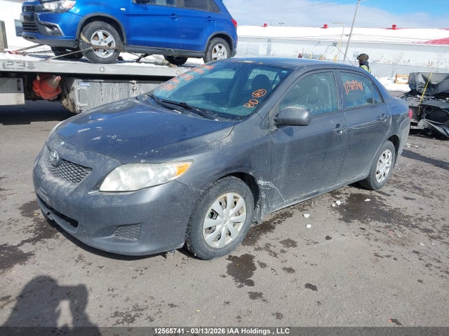 12565741 :رقم المزاد ، 2T1BU4EE5AC331138 vin ، 2010 Toyota Corolla Ce مزاد بيع