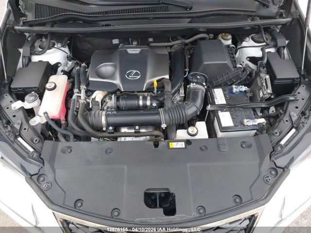 2020 Lexus Nx 300 მანქანა იყიდება აუქციონზე, vin: JTJSARDZ0L5000135, აუქციონის ნომერი: 12576155