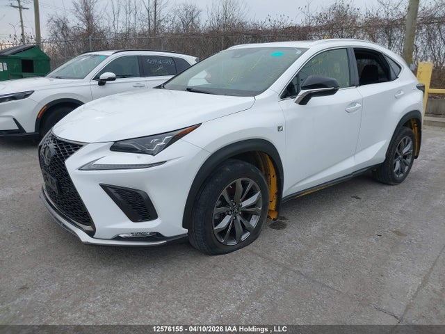 2020 Lexus Nx 300 მანქანა იყიდება აუქციონზე, vin: JTJSARDZ0L5000135, აუქციონის ნომერი: 12576155