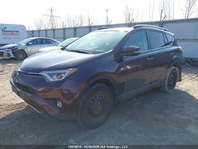 2017 Toyota Rav4 Xle მანქანა იყიდება აუქციონზე, vin: 2T3RFREV1HW621950, აუქციონის ნომერი: 12576810