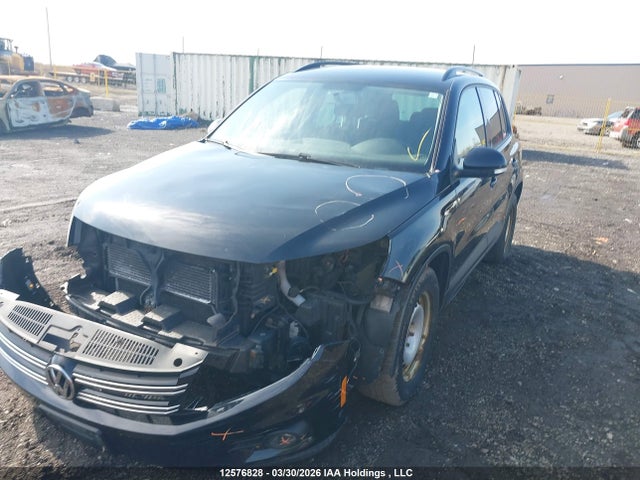 WVGJV7AX5FW609838 Volkswagen Tiguan Comfortline/highline/special Edition/trendline