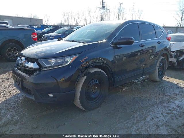 2HKRW2H88KH111557 Honda CR-V EXL