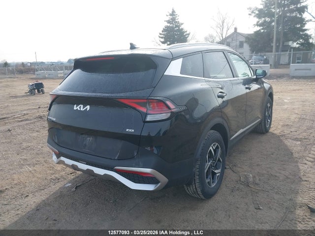 2024 Kia Sportage Lx მანქანა იყიდება აუქციონზე, vin: KNDPUCDF3R7298406, აუქციონის ნომერი: 12577093