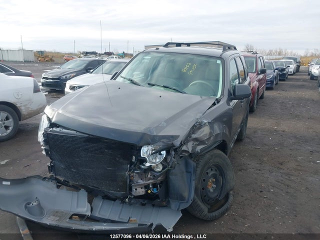 12577096 :رقم المزاد ، 1FMCU0DG9AKC74856 vin ، 2010 Ford Escape Xlt Automatic مزاد بيع