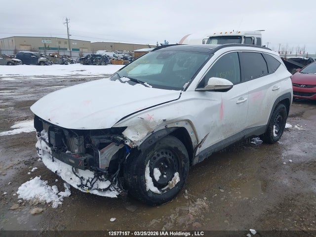KM8JCCA1XPU123999 Hyundai Tucson Luxury Hybrid Awd