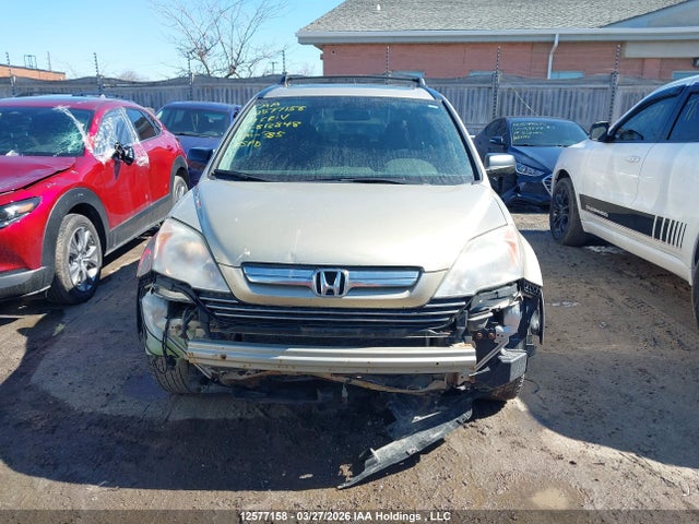 2009 Honda Cr-v Ex მანქანა იყიდება აუქციონზე, vin: 5J6RE48569L813848, აუქციონის ნომერი: 12577158