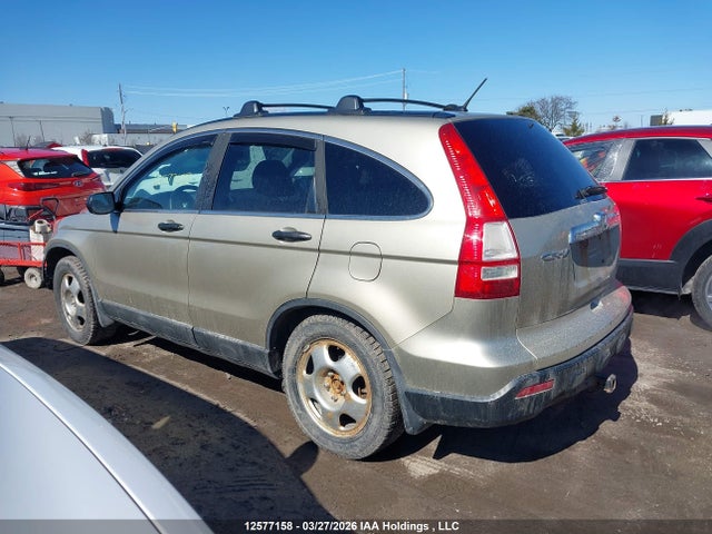 2009 Honda Cr-v Ex მანქანა იყიდება აუქციონზე, vin: 5J6RE48569L813848, აუქციონის ნომერი: 12577158