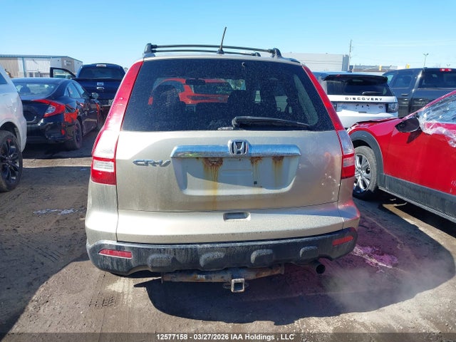 2009 Honda Cr-v Ex მანქანა იყიდება აუქციონზე, vin: 5J6RE48569L813848, აუქციონის ნომერი: 12577158