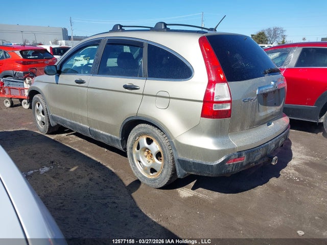 2009 Honda Cr-v Ex მანქანა იყიდება აუქციონზე, vin: 5J6RE48569L813848, აუქციონის ნომერი: 12577158