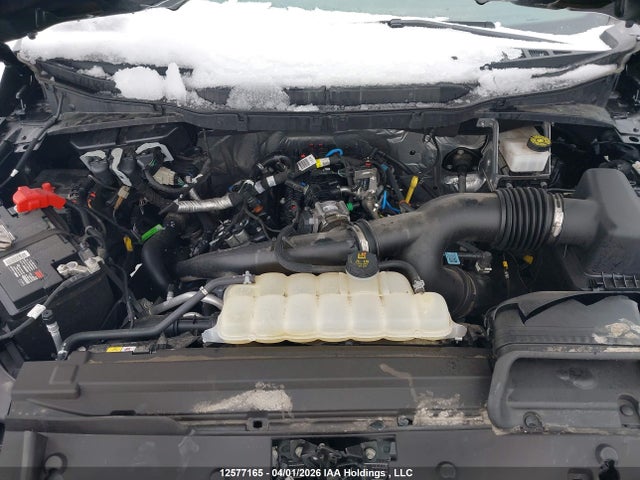 2024 Ford F-150 მანქანა იყიდება აუქციონზე, vin: 1FTEW3LPXRFA53152, აუქციონის ნომერი: 12577165
