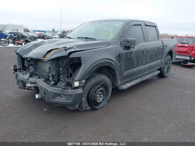 2024 Ford F-150 მანქანა იყიდება აუქციონზე, vin: 1FTEW3LPXRFA53152, აუქციონის ნომერი: 12577165