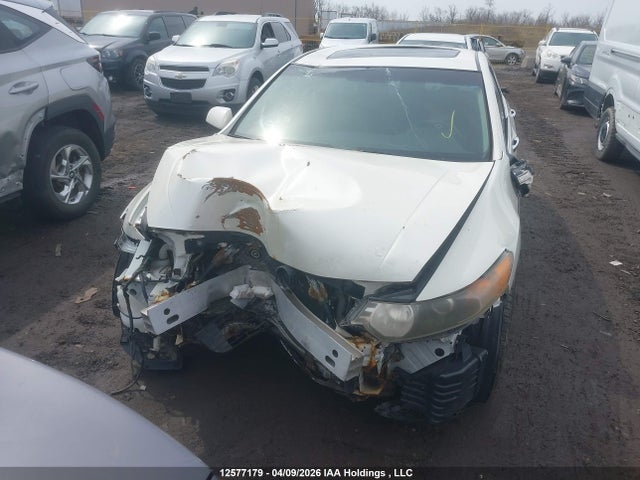 Продажа на аукционе авто 2009 Acura Tsx, vin: JH4CU26459C803288, номер лота: 12577179