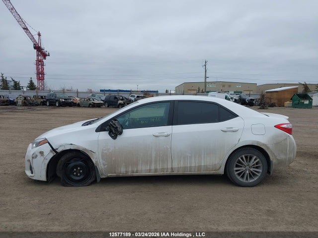 2T1BURHE9GC701864 Toyota Corolla L/le/le Pls/prm/s/s Pls