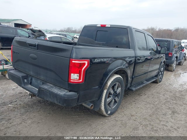 1FTEW1EG6HFB45553 Ford F-150 Xlt