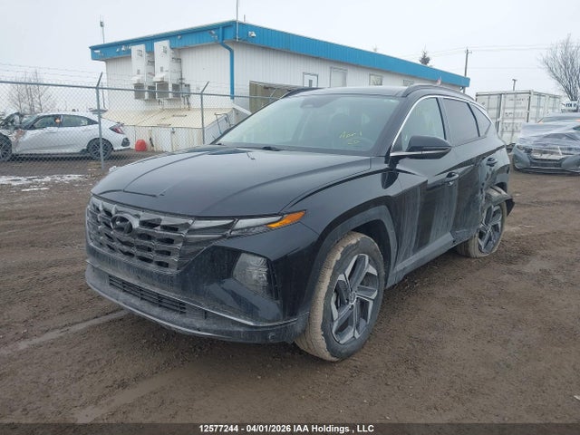 KM8JCCA14NU059455 Hyundai Tucson Luxury Hybrid Awd