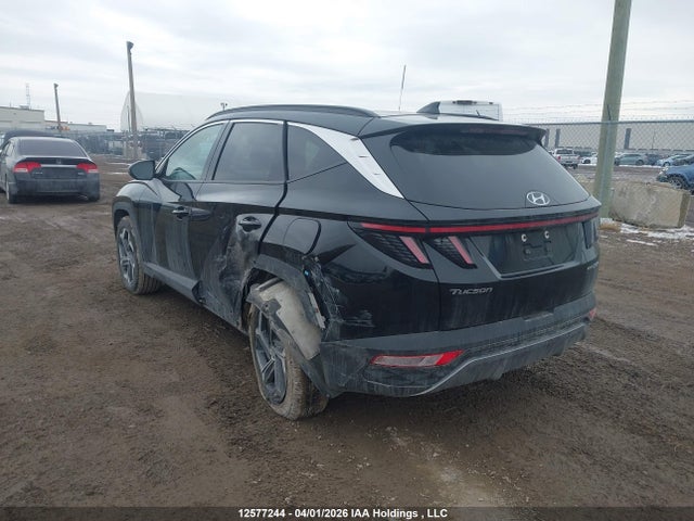 KM8JCCA14NU059455 Hyundai Tucson Luxury Hybrid Awd