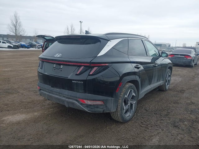 KM8JCCA14NU059455 Hyundai Tucson Luxury Hybrid Awd
