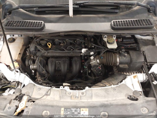 Продаж на аукціоні авто 2014 Ford Escape S, vin: 1FMCU0F74EUB67138, номер лоту: 12577250