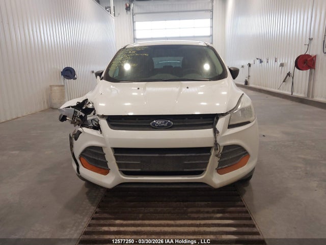 Продаж на аукціоні авто 2014 Ford Escape S, vin: 1FMCU0F74EUB67138, номер лоту: 12577250