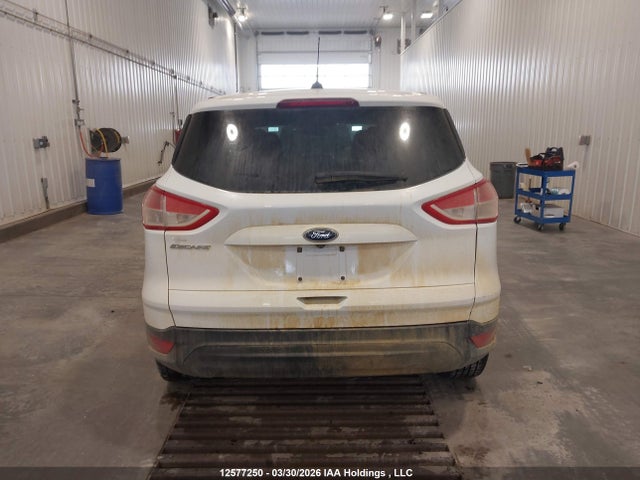 Продаж на аукціоні авто 2014 Ford Escape S, vin: 1FMCU0F74EUB67138, номер лоту: 12577250