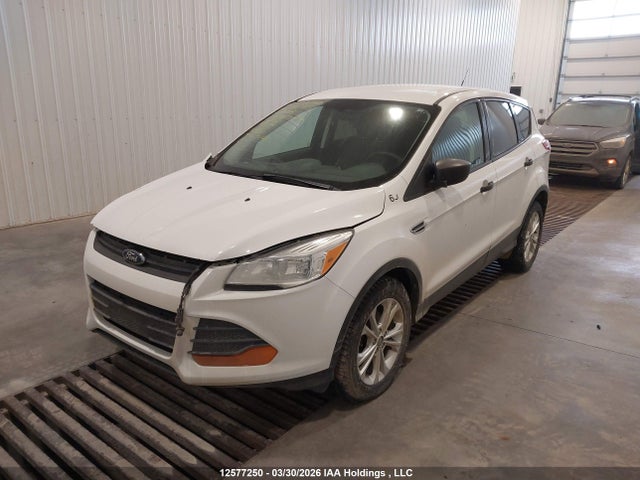 Продаж на аукціоні авто 2014 Ford Escape S, vin: 1FMCU0F74EUB67138, номер лоту: 12577250