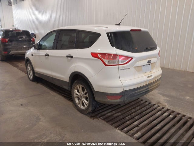 Продаж на аукціоні авто 2014 Ford Escape S, vin: 1FMCU0F74EUB67138, номер лоту: 12577250