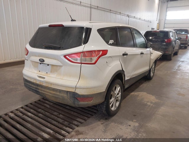 Продаж на аукціоні авто 2014 Ford Escape S, vin: 1FMCU0F74EUB67138, номер лоту: 12577250