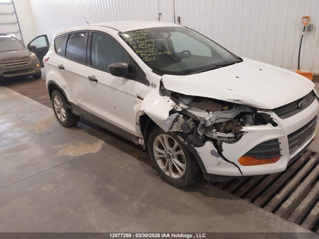Продаж на аукціоні авто 2014 Ford Escape S, vin: 1FMCU0F74EUB67138, номер лоту: 12577250