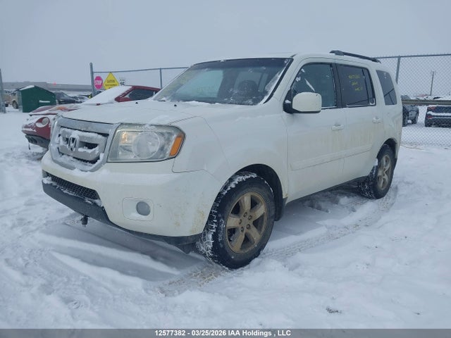 Продаж на аукціоні авто 2011 Honda Pilot Exl, vin: 5FNYF4H6XBB507722, номер лоту: 12577382