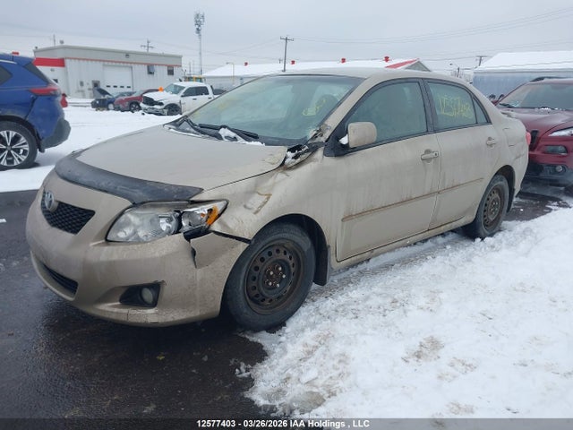 12577403 :رقم المزاد ، 2T1BU4EE2AC382418 vin ، 2010 Toyota Corolla S/le/xle مزاد بيع