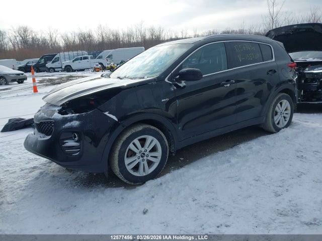 KNDPMCAC2H7135920 KIA Sportage Lx