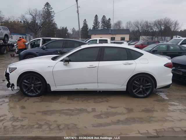 12577473 :رقم المزاد ، 19UUB6F54RA800052 vin ، 2024 Acura Tlx A-spec مزاد بيع