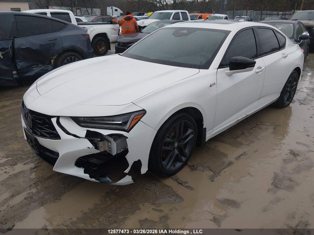 12577473 :رقم المزاد ، 19UUB6F54RA800052 vin ، 2024 Acura Tlx A-spec مزاد بيع